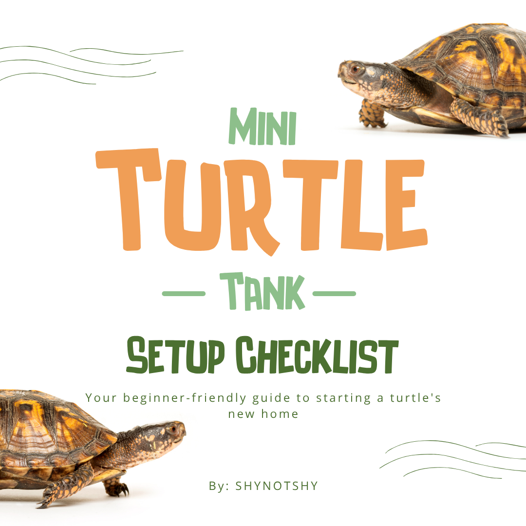 Mini Turtle Tank Setup Checklist (Free Download)
