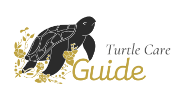Turtle Care Guide