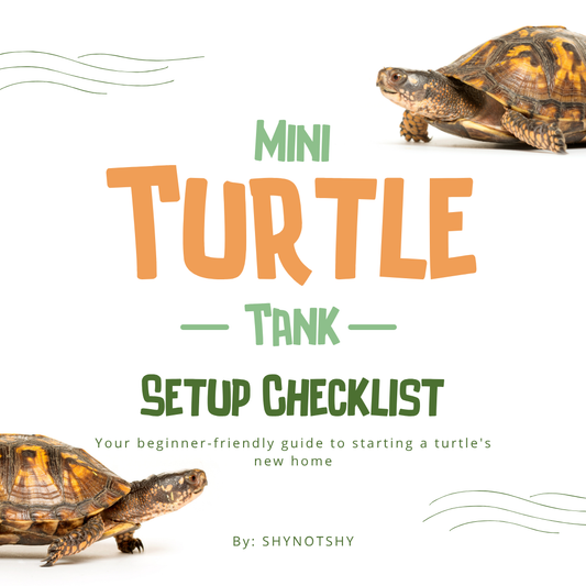 Mini Turtle Tank Setup Checklist (Free Download)