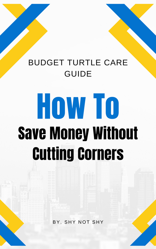 Budget Turtle Care Guide: How To Save Money Without Cutting Corners