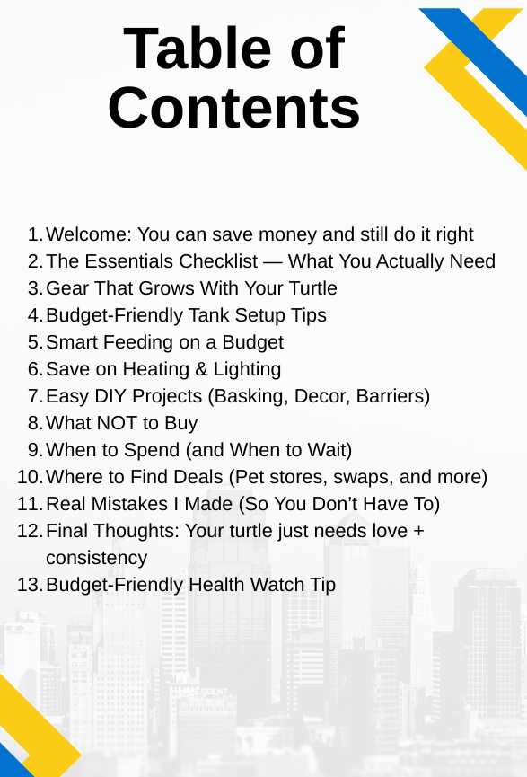 Budget Turtle Care Guide: Save Money Without Cutting Corners